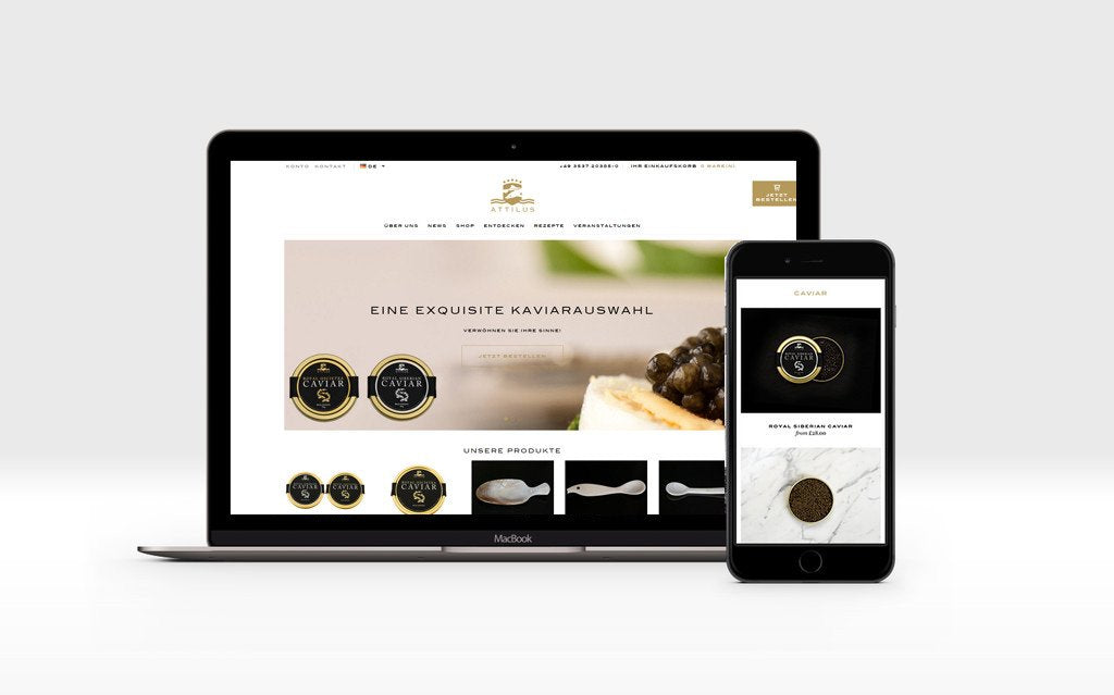 Presentación del nuevo sitio web de Attilus