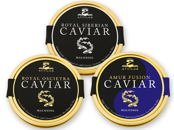 Set de degustación